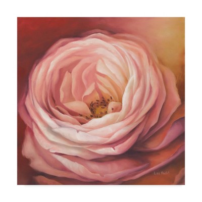 24" x 24" Rose by Lisa Audit - Trademark Fine Art