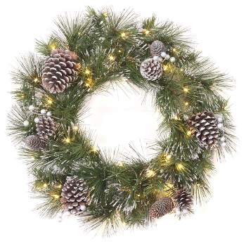 24" Pre-Lit Whitter Pine Wreath with LED Lights - National Tree Company