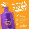 Aussie Miracle Coils Shampoo with Macadamia Nut Oil for Coily Hair, Sulfate and Paraben-Free, 26.2 fl oz - 3 of 4