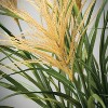 Sullivans Artificial Potted Agave Reed - 2 of 4