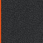 baltimore orioles 1966-1969