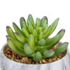 Northlight 4.25" Green Artificial Succulent in Faux Marble Pot - 3 of 4