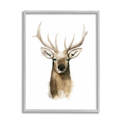 Stupell Industries Deer Portrait Watercolor Framed Giclee Art
