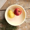 Gulches Decorative Bowls: Stylish Medium Resin Salad Serve Bowl - 2 of 4