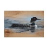 Trademark Fine Art -Jim Brune 'Loon Reflection' Canvas Art - 2 of 4