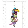 Prevue Pet Products 62507 Tropical Teasers Party Time Bird Toy - 2 of 3