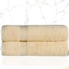 Premium Cotton Absorbent Luxury Weight Set by Blue Nile Mills - 2 of 4