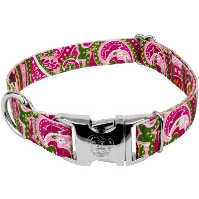 paisley dog collar