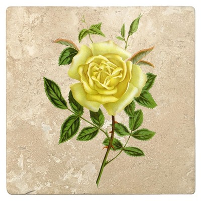 Christmas by Krebs Set of 4 Ivory and Yellow Amazone Rose Floral Square Coasters 4"