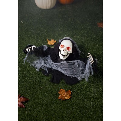HalloweenCostumes.com  Half-Body Animated Skeleton, Black/Brown