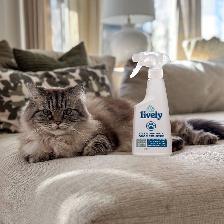 Lively Probiotic Pet Stain and Odor Remover - 16 fl oz, 2 of 8