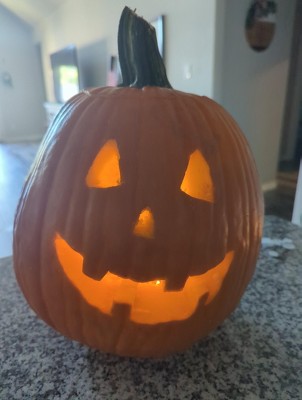 Guest review image 2 of 2, zoom in