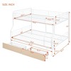 NicBex Full XL Over Queen Bunk Bed with Guardrail and Drawers,Twin Loft Bed with Ladder and Converts to 2 Twin Single Beds,Bunk Beds for Bedroom - 3 of 4
