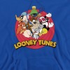 Looney Tunes Smaller Group Adult Pull-Over Hoodie - 2 of 4