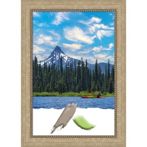 Amanti Art Astor Champagne Picture Frames - 1 of 4