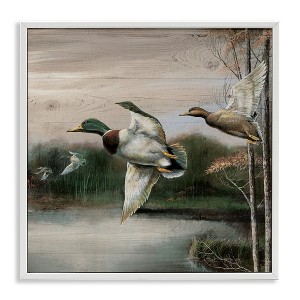 Stupell Industries Flying Ducks in Rustic Nature Framed Giclee Art - 1 of 4