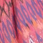 pink burst ikat stripe