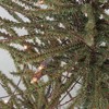 Northlight 3' Warsaw Twig Artificial Christmas Tree - Clear Lights - 2 of 2