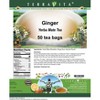 TerraVita Ginger Yerba Mate Tea (50 tea bags, ZIN: 551954, 1-Pack) - 2 of 4