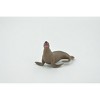 Collectible Wildlife Gifts | Sea Lion, Pinnipeds, High Quality, Hand Painted, Rubber Seal Family, Realistic, Toy Model, Gift,   2"   CH546 BB159 - 4 of 4