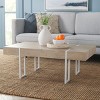 Aberton Coffee Table - COF7009A - Natural/White - Safavieh - 2 of 4