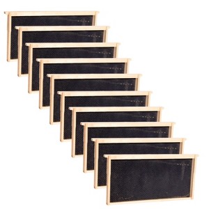 Lehman's Beekeeping Beehive Frame, Waxed Plastic Foundation, Deep Assembled, Honey Bee Hive, Amish Made, Set of 10 - 1 of 4