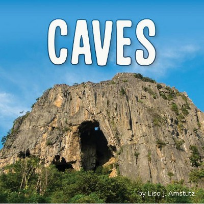 Caves - (Earth's Landforms) by  Lisa J Amstutz (Paperback)