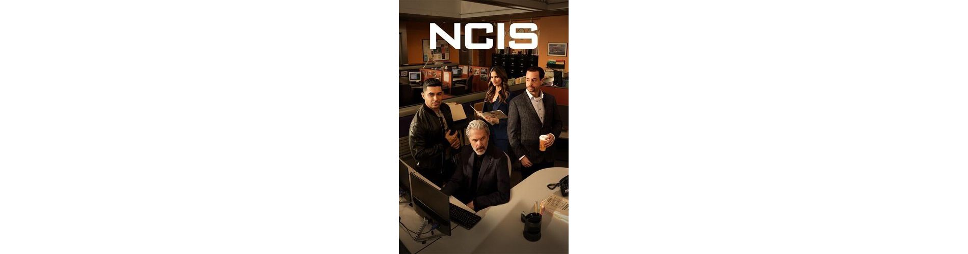 NCIS: Naval Criminal Investigative Service: The Twenty-Second Season (DVD)