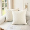 REGALWOVEN Velvet Solid Decorative Scallop Texture Modern Pillowcases 2 Pcs - 2 of 4