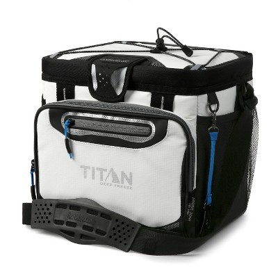 arctic zone insulated bag