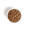 I and Love and You Naked Essentials Grain Free with Lamb & Bison Holistic Dry Dog Food - image 4 of 4