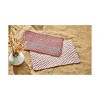 tagltd 1'6"x2'6" Handwoven Doormat Blush Striped Rectangle Indoor and Outdoor Polypropylene Door Welcome Mat Red - 4 of 4
