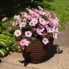 Sunnydaze Indoor/Outdoor Round Ribbed Polyresin Planter Pot with Double Wall Design - Rust - 16" - 3 of 4
