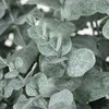 Sullivans Artificial 24" Lush Potted Eucalyptus Bush, Green - 2 of 4