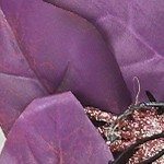 red and purple