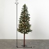 Artificial 6' Lighted Natural Bark Tree Green - 4 of 4
