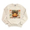 Simply Sage Market Women's Graphic Sweatshirt Coquette Pumpkin Season - 2 of 4