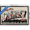 Trends International IT: Welcome to Derry (2025) - Greetings From Derry Framed Wall Poster Prints - 3 of 4