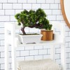 Juvale Artificial Fake Bonsai Tree for Office Desk, Potted Japanese Pine for Bookshelf Decoration, Home Decor (10 x 9 In) - 4 of 4
