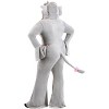 HalloweenCostumes.com Plus Size Wild Elephant Costume for Women - 3 of 3