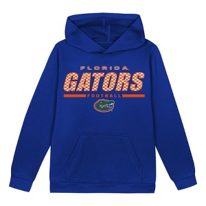 NCAA Florida Gators Boys' Hooded Sweatshirt - 1 of 1