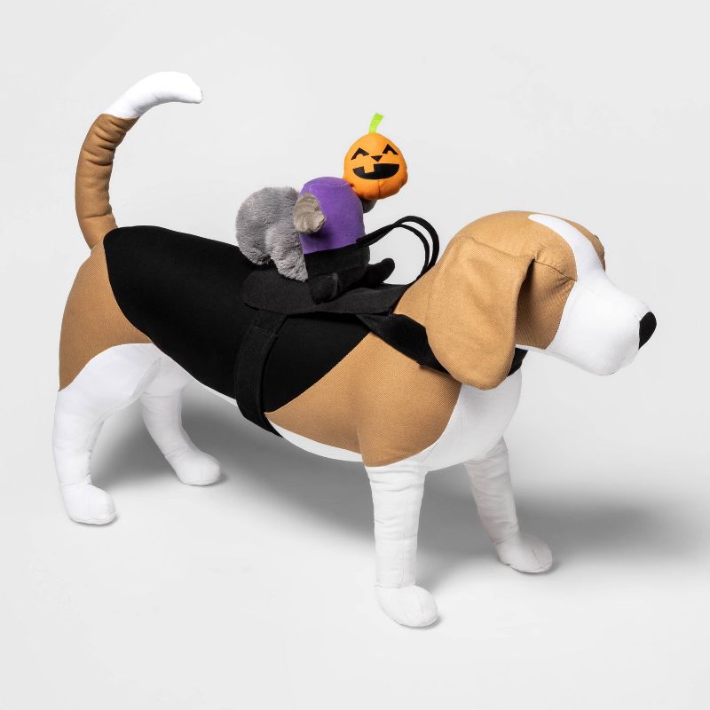Headless Horseman Squirrel Rider Dog and Cat Costume - Hyde & EEK! Boutique™, 4 of 7