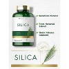 Carlyle Silica 500mg with Horsetail Extract | 200 Capsules - 3 of 4