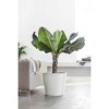 Ecopots Amsterdam Durable Modern Round Indoor/Outdoor Recycled-Based Composite Flower Pot Planter - 3 of 4