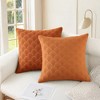 REGALWOVEN Velvet Solid Decorative Scallop Texture Modern Pillowcases 2 Pcs - 2 of 4