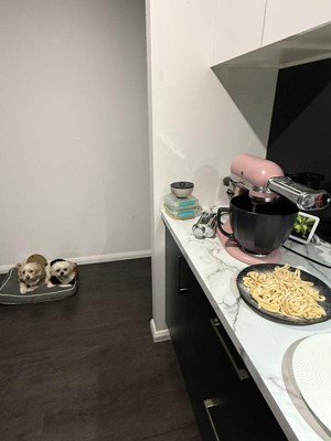 Guest review image 1 of 2, zoom in