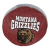 NCAA Montana Grizzlies 15" Circular Cloud Pillow - 3 of 4
