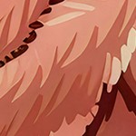 harvest pine