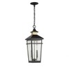 Savoy House Kingsley 2 - Light Pendant in  Matte Black/Warm Brass - 3 of 4