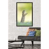 Trends International The Comedy Wildlife Photography Awards: Perdita Petzl - Conducting Framed Wall Poster Prints - 2 of 4